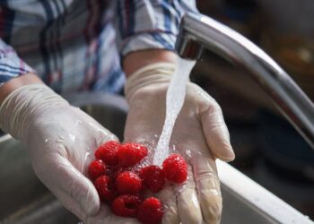 fresh fruit can be contaminated by the water used to wash it.