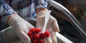 fresh fruit can be contaminated by the water used to wash it.