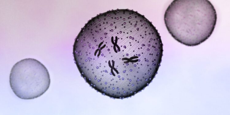 Which Of The Following Best Explains A Distinction Between Metaphase I And Metaphase Ii?