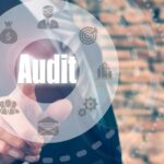 One Problem With Conducting a Social Audit Is Lack of Data Transparency