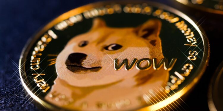 The Meme Coin Menagerie: The Difference Between Cat and Dog Meme Coins