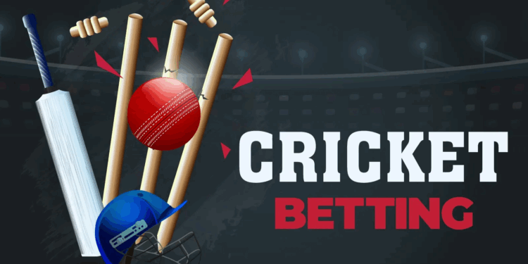 Don’t Miss Out: Ultimate Reasons to Bet on the IPL This Year