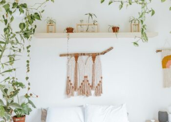 Your Guide to Building a Feel-Good Wellness Shelf