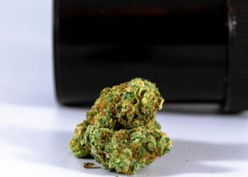 THCA Flower: Potency, Benefits, and Effects