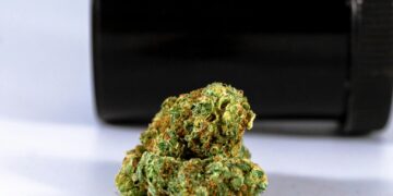 THCA Flower: Potency, Benefits, and Effects