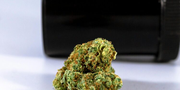 THCA Flower: Potency, Benefits, and Effects
