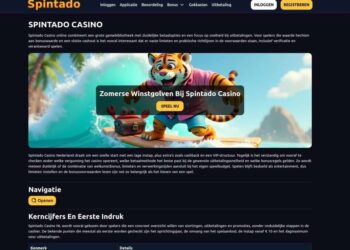 Spintado Casino Netherlands Login Problems And Solutions