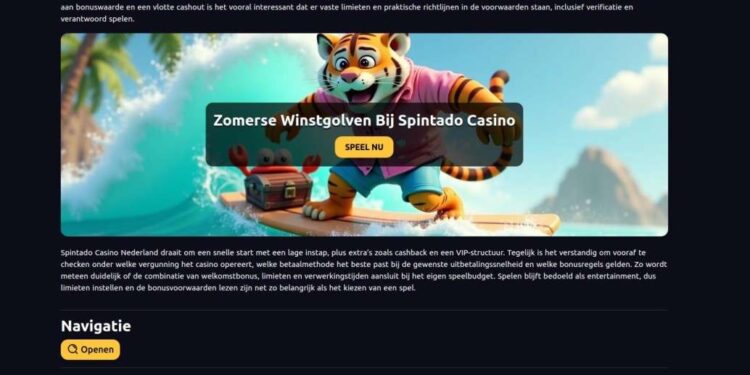 Spintado Casino Netherlands Login Problems And Solutions