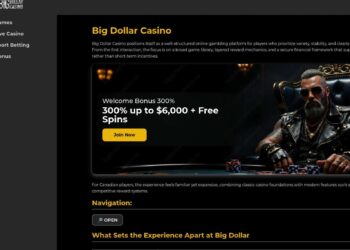 Big Dollar Casino Slots In Canada And Top Game Providers