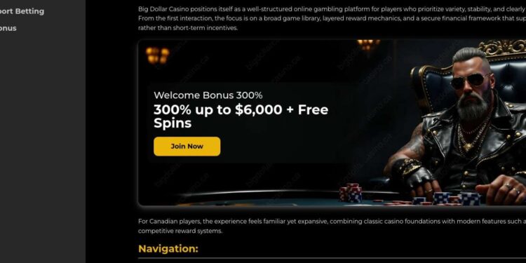 Big Dollar Casino Slots In Canada And Top Game Providers