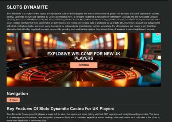 Slots Dynamite Casino Withdrawals: Processing Times And Common Issues