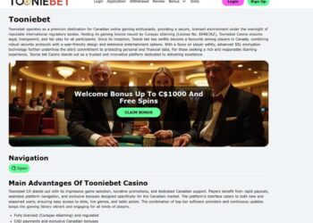 How To Log In To Tooniebet Casino And Fix Common Errors