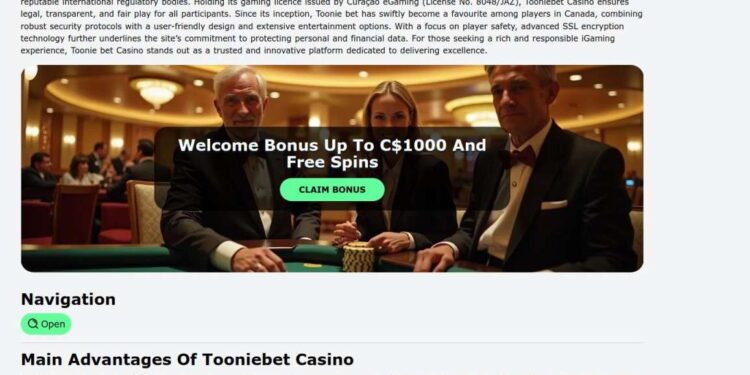 How To Log In To Tooniebet Casino And Fix Common Errors