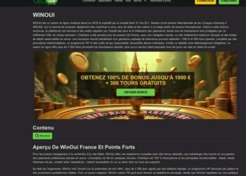 WinOui Casino Withdrawal Not Received: Steps, Timing, And Contacts