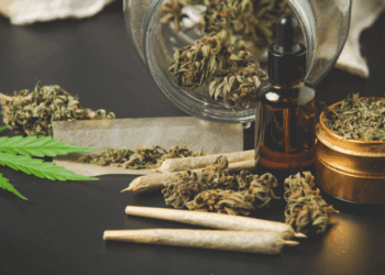3 Interesting Facts About Jungle Gelato Strain