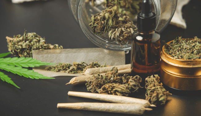 3 Interesting Facts About Jungle Gelato Strain