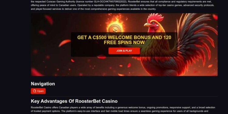 RoosterBet Login In Canada: Troubleshooting Sign-In And Password Issues